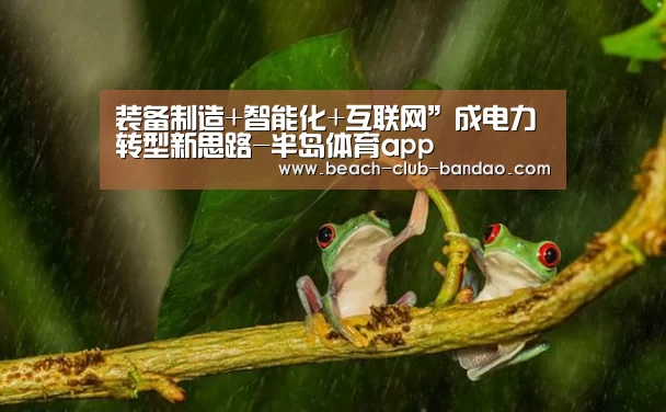 半岛体育app